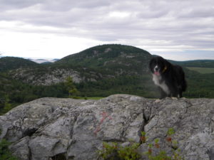 Malcom photo Sylvain Poirier